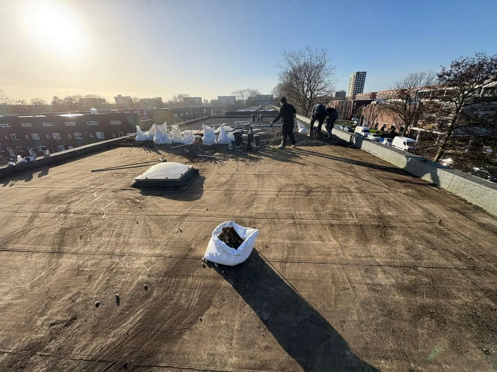 Dakvoorbereiding en grindverwijdering op platdak in Rotterdam